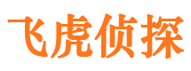 扶风外遇调查取证